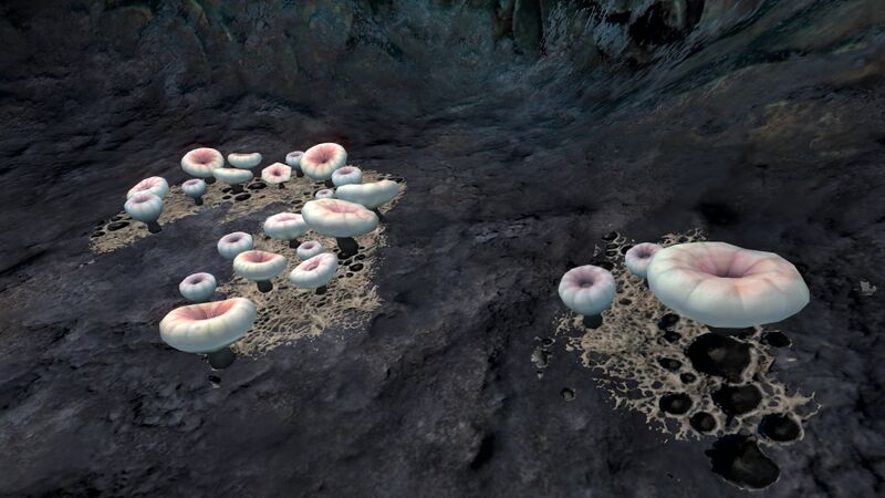 File:Blood Kelp Zone Trench (2).jpg
