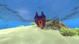 Lava Larva Front.jpg