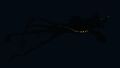 Bioluminescence