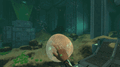 Baby Leviathan Enzymes curing the player of Carar