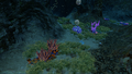 Some of the flora and coral found in the sinkhole