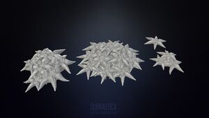 HighpolyStarfish.jpeg