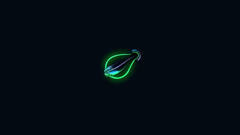 File:HoopfishNight.jpg