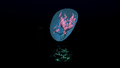 Thumbnail for version as of 12:25, 6 April 2017
