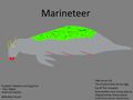 Marineteer Concept "mariñateer" (Idea was From RTLP292929)