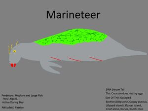 Marineteer Concept.jpg