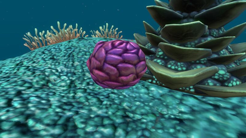 File:PurplePinecone.jpg
