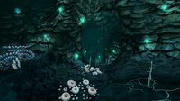 The entrance to the Blood Kelp Cache