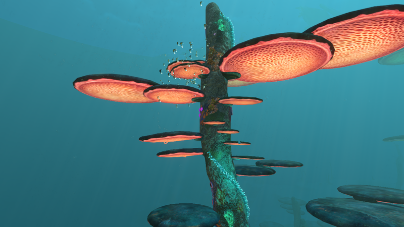 File:TreeMushroom1.png