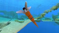 Former Pathfinder Tool's anchor