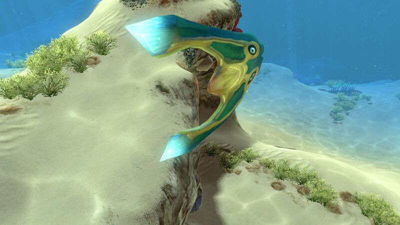 File:Boomerang (3).jpg