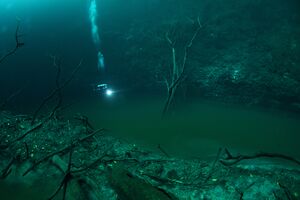 Cenote1.jpg