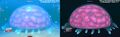 Large Floaters as seen on trello