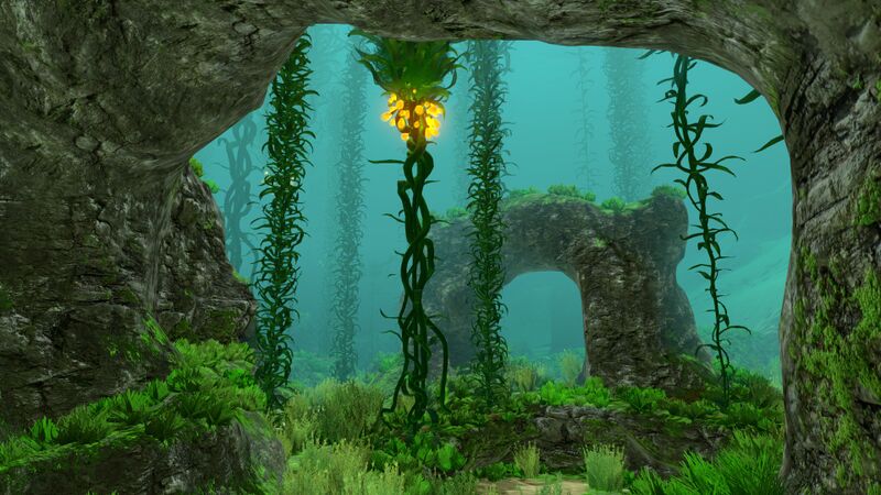 File:Kelp Forest (1).jpg
