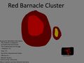 Red Barnacle Cluster Concept "vermello Craca Acio"