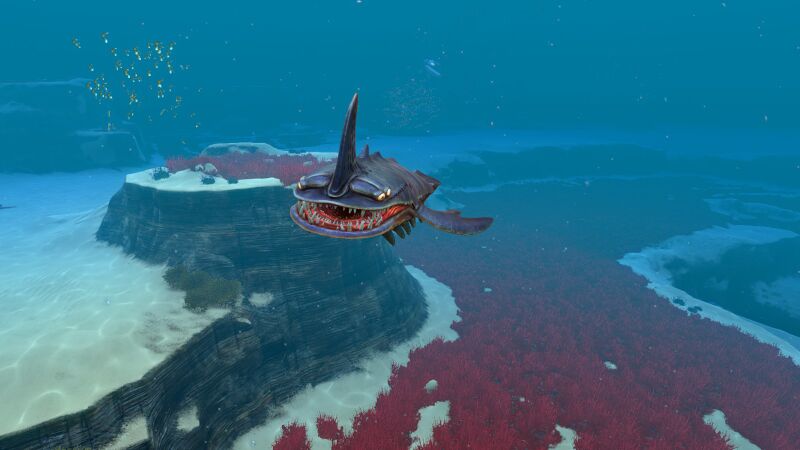 File:Sandshark03.jpg