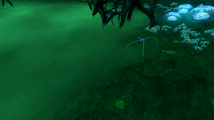 A Blood Crawler in the Lost River Ghost Forest