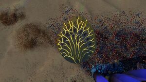 Shellplate02B.jpg