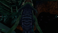 an idiotic Sea Dragon stuck under the map