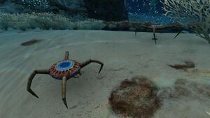 CaveCrawler Dunes.jpg