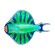 Discus Fish Icon.png