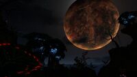 The Floating Island at night