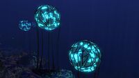 A cluster of Floating Stones