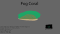 Fog Coral Concept "Néboa Coral"