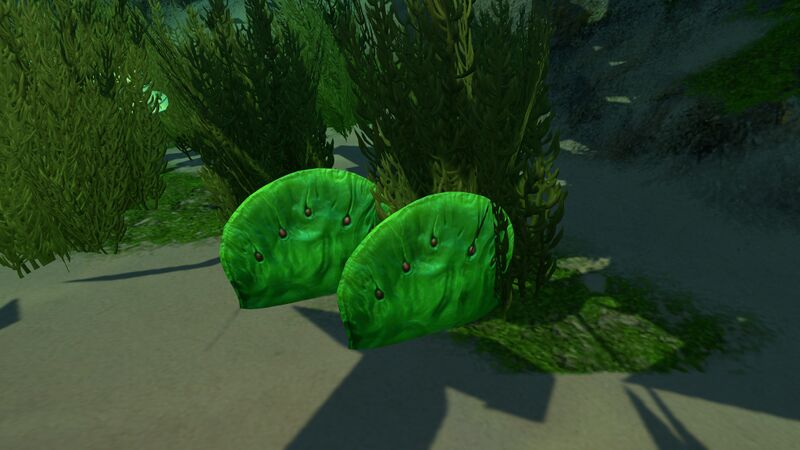File:Green Table Coral.jpg