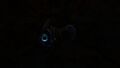 Bioluminescence