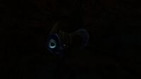 Bioluminescence