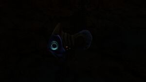 Holefish2.jpg