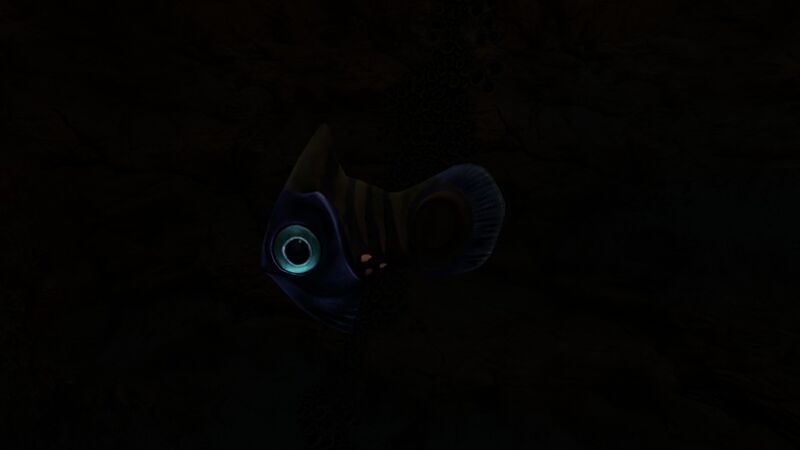File:Holefish2.jpg