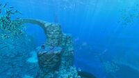 A shot of the biome