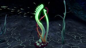 Blood Kelp Zone Trench (3).jpg