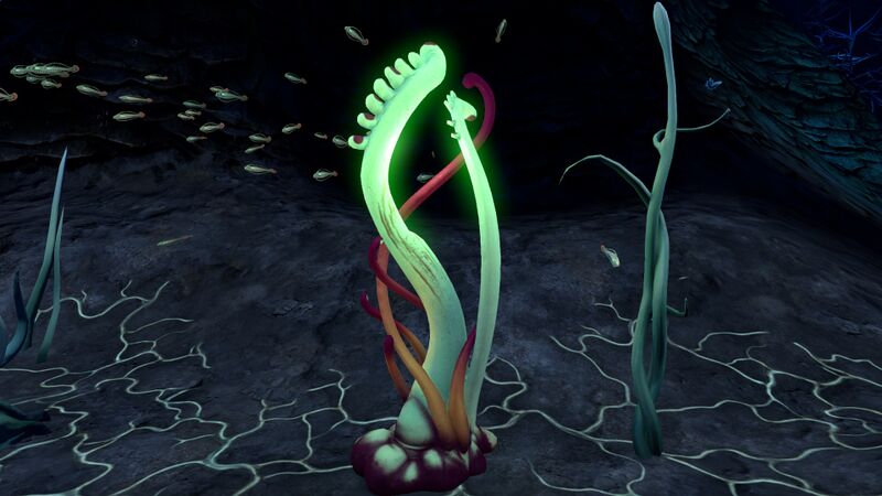 File:Blood Kelp Zone Trench (3).jpg