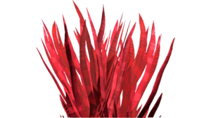 Bloodgrass Flora (BZ).png