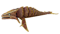 Boneshark Fauna3.png