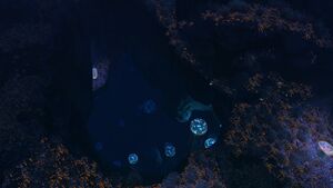 GrandReef4.jpg