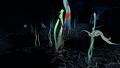Thumbnail for version as of 02:43, 12 February 2016
