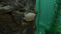 Sandstone's old model