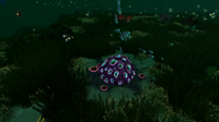 This Mesa is bursting with life. A Purple Brain Coral can be seen surrounded by Tree Leeches