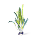 Chinese Potato Plant Icon.png