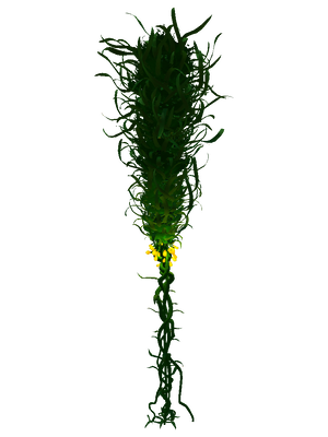 Creepvine Flora.png