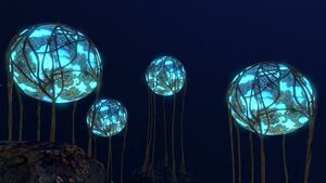 Floating Stones (1).jpg