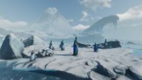 A waddle of Pengwings on top of an ice floe