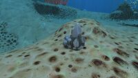 Diamond in the Underwater Islands.