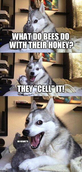 File:Doggy.jpg