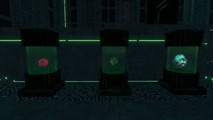EggLab1.jpg