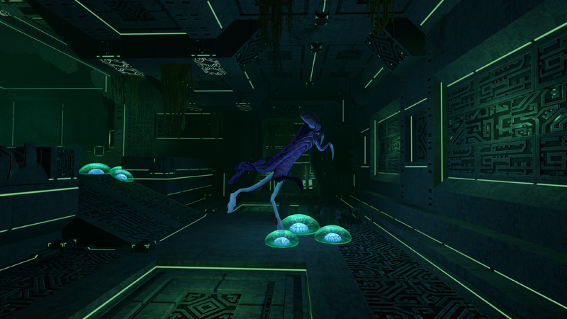 File:MrWarperDRF5.png
